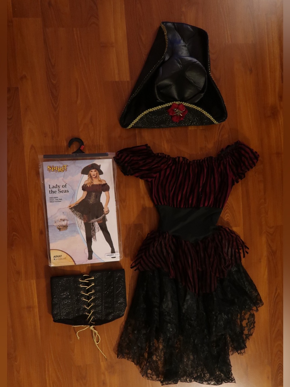 Women’s Halloween Costume - Lady of the Seas (Pirate)